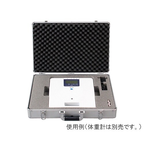 WB2608411 キャリングケース