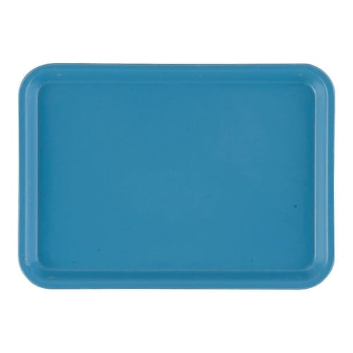 EKM0142カムトレロビンエッグブルー