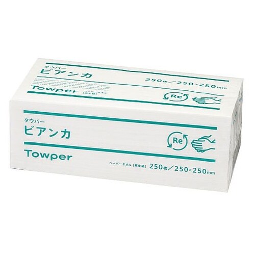 KTO5801 タウパービアンカ L