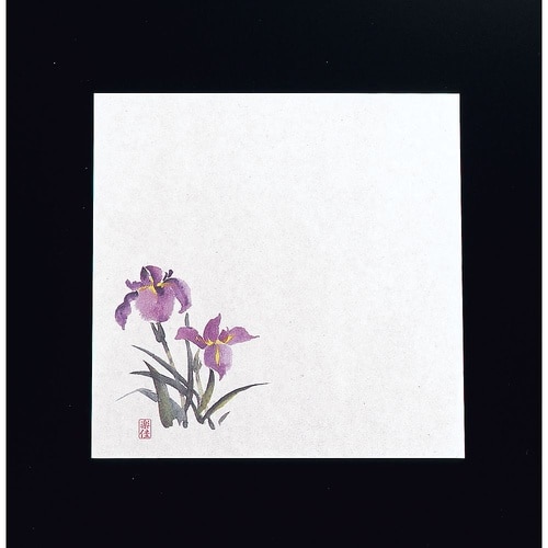 QTI11 耐油懐敷18角 あやめ