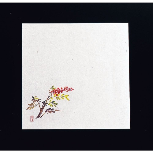 QTI16 耐油懐敷18角 南天