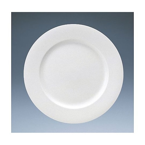 RPT4601 27cmディナー皿