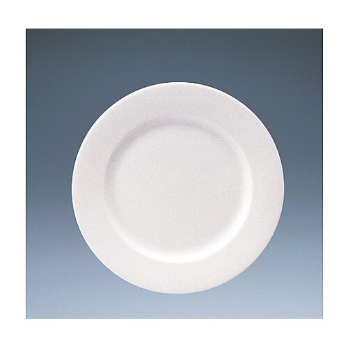 RPT4701 24cmミート皿