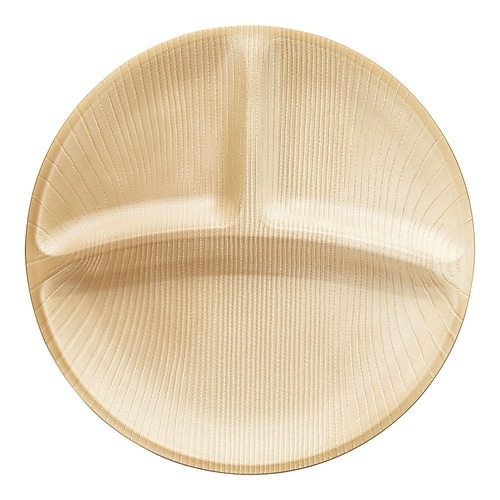 RSK8601 プレート25cm