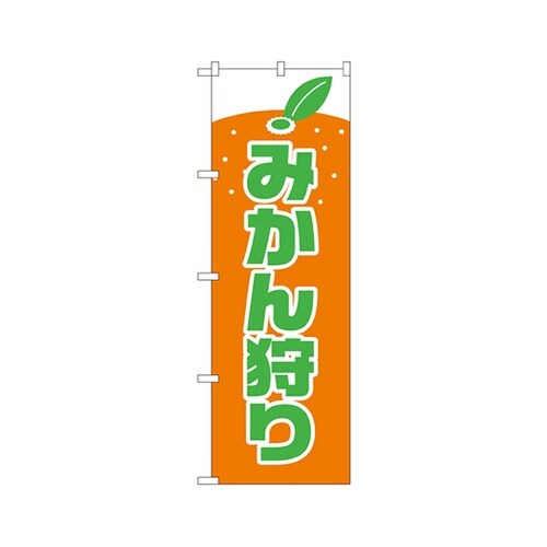 みかん狩りのぼりNo.2236