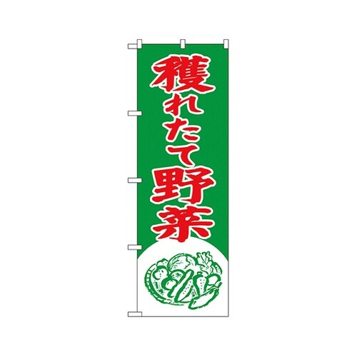 獲れたて野菜のぼりNo.2247