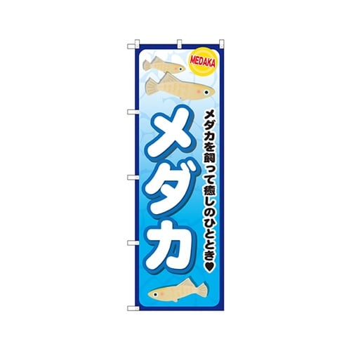 メダカのぼりGNB−2492