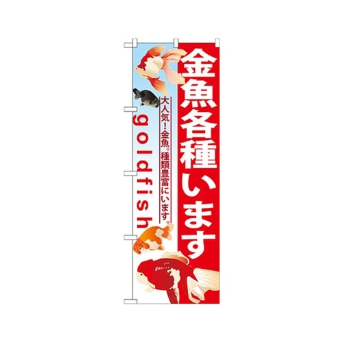 金魚各種いますのぼりGNB−581