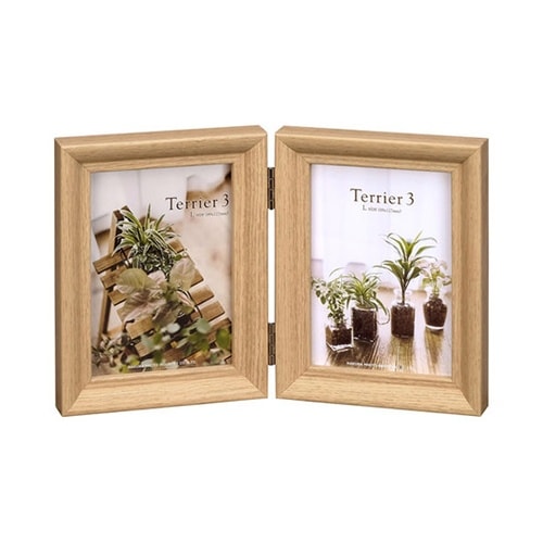 FWTR3−NTL2Tフレーム テリア3