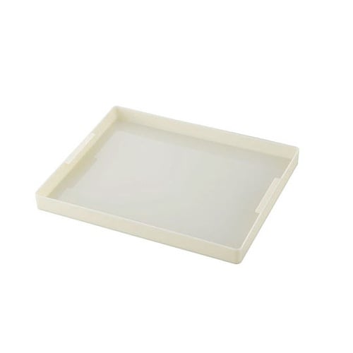 398019 エスレンコンテナ用 トレー