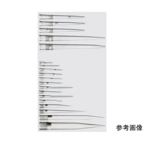 フィンチップ フレックス フィルター 2