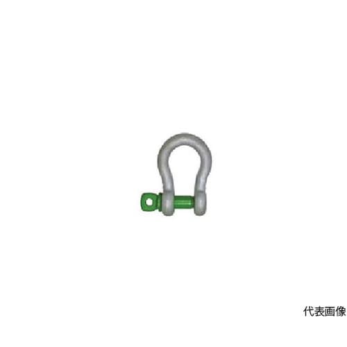 グリーンピンスタンダードシャックル GP
