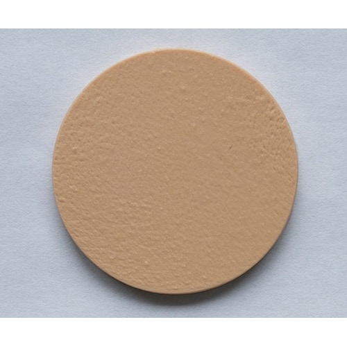 10H 新年代別頬部肌模型 ウレタンゲル