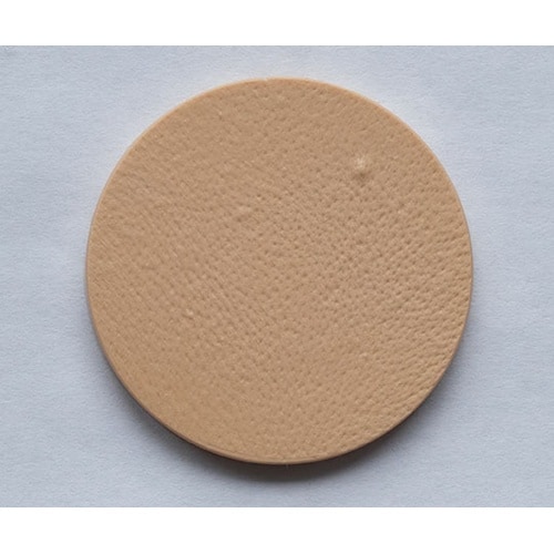 10I 新年代別頬部肌模型 ウレタンゲル