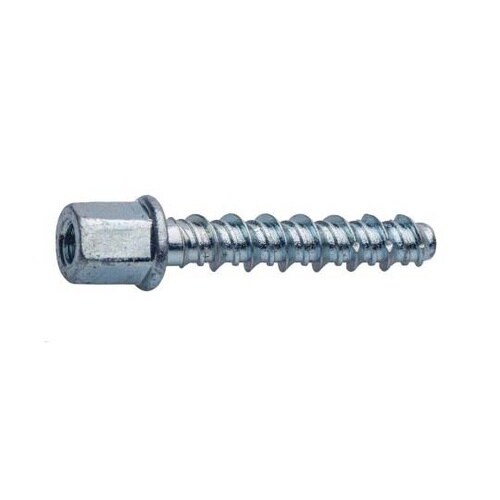 アンカーボルト M8 長さ55mm 1袋