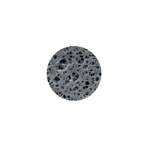 メンブレン ディスク 直径Φ25mm P