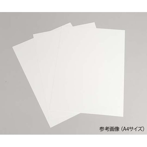 ハルシックイV NW白糊−MX3 1m