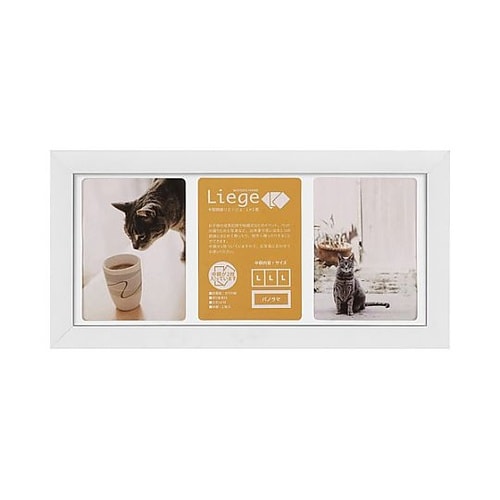 FWLGC−WTL3 額縁リエージュ