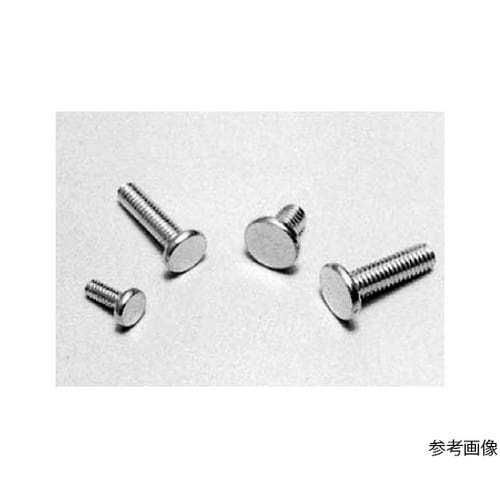 スルーホール取付ネジ M2用100本