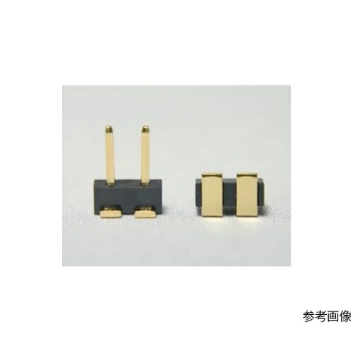 HWP−2PGM ラッピング端子100本