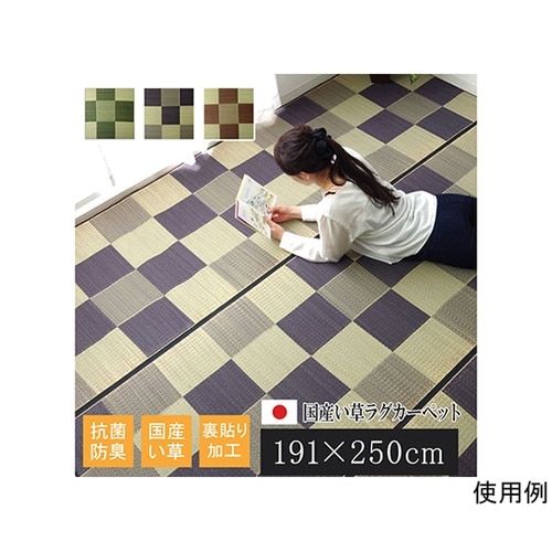 純国産 い草ラグカーペット 『Fブロック