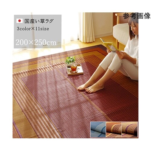 ラグ い草 シンプル モダン 『ランクス