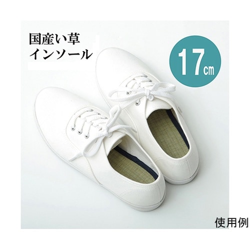 インソール ジュニア 消臭 抗菌 『い草