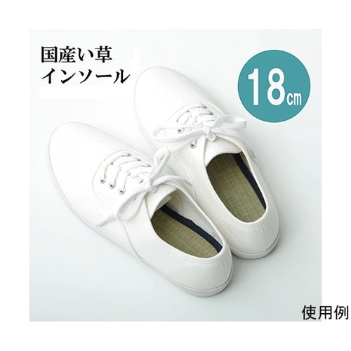 インソール ジュニア 消臭 抗菌 『い草