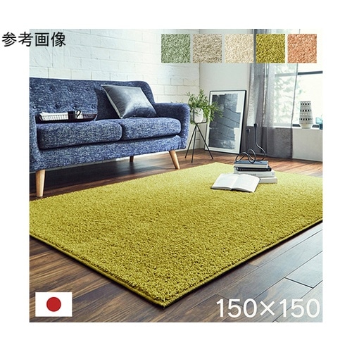 日本抗菌消臭清潔オーダーラグカーペット防