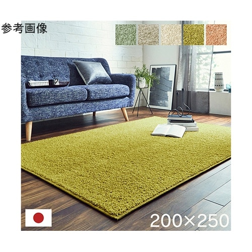 日本抗菌消臭清潔オーダーラグカーペット防