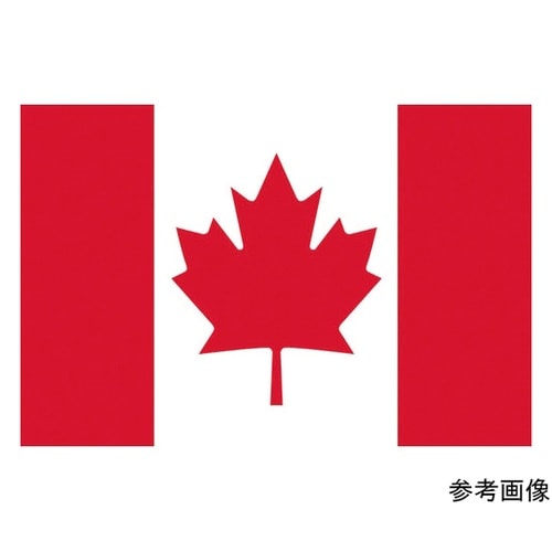 406204 卓上旗 カナダ