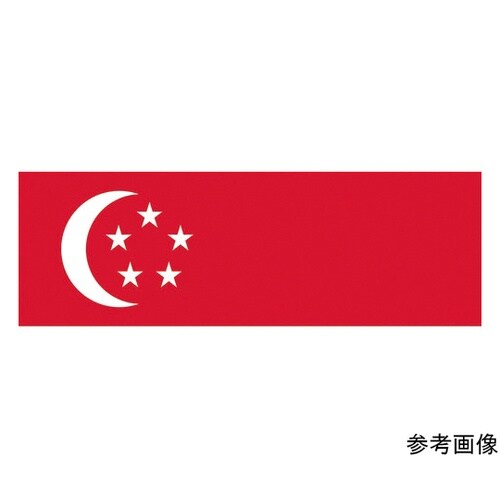 406326 卓上旗 シンガポ−ル