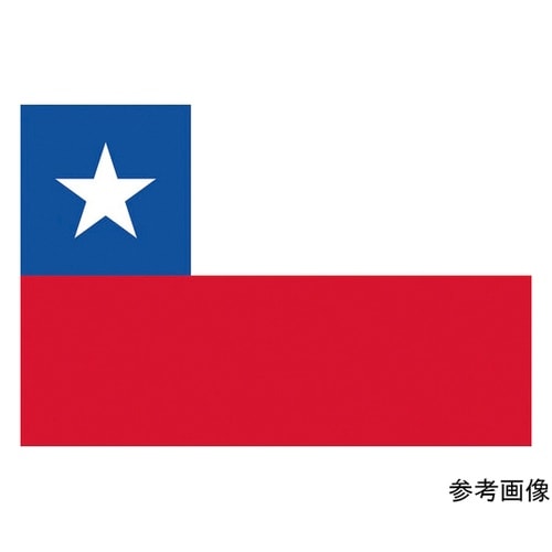 416427 国旗No.1 チリ