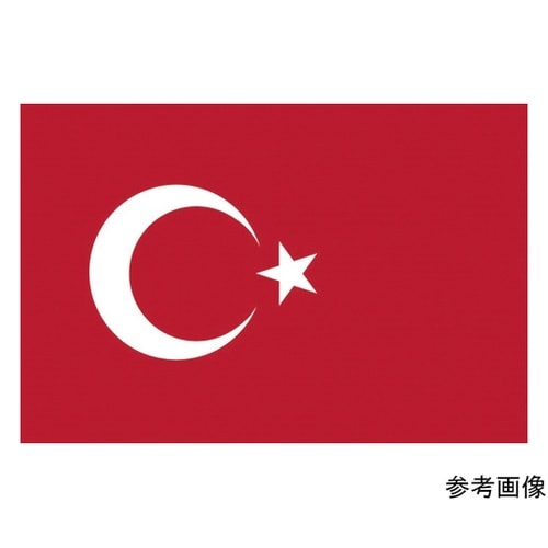 416485 国旗No.1 トルコ