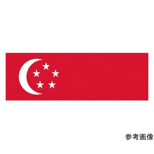 416326 国旗No.1 シンガポール