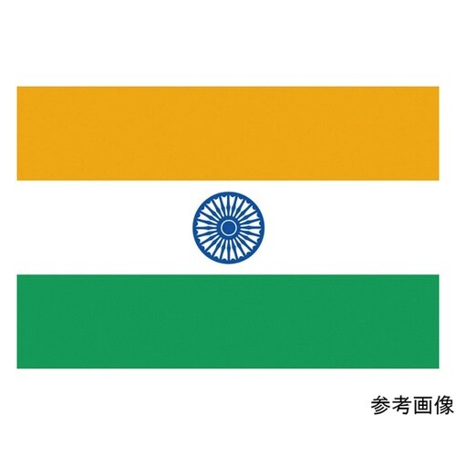 416128 国旗No.1 インド