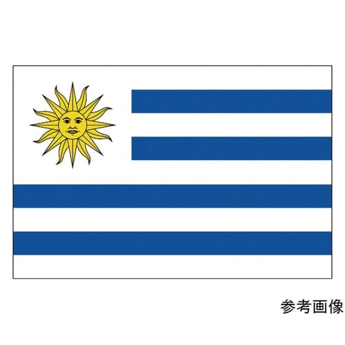 416143 国旗No.1 ウルグアイ