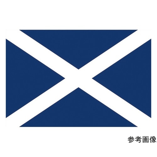 416351 国旗No.1スコットランド