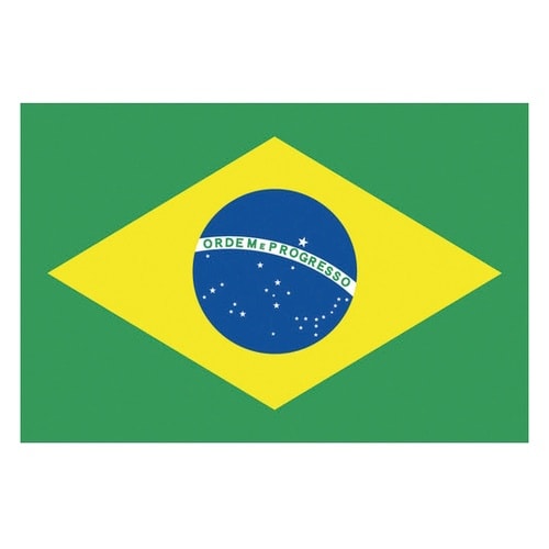 416646 国旗No.1 ブラジル
