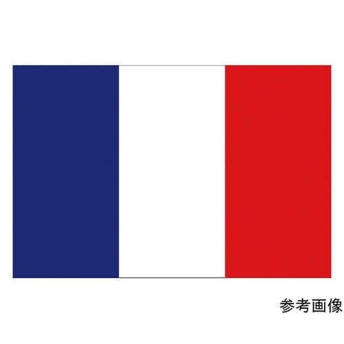 416647 国旗No.1 フランス