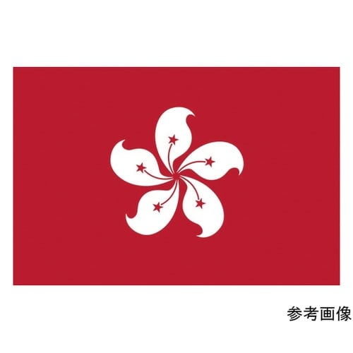 416685 国旗No.1 香港