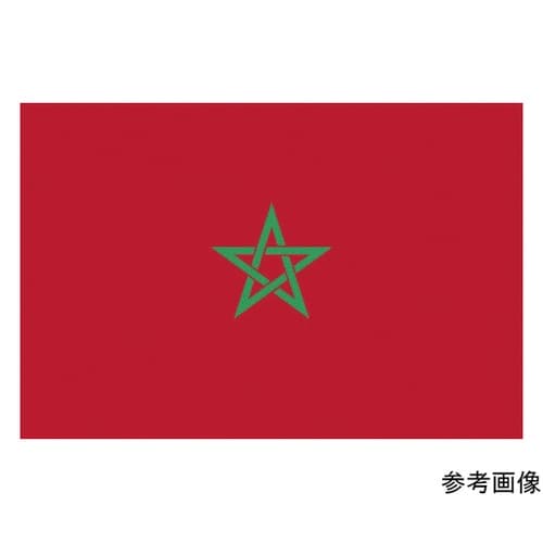 416786 国旗No.1 モロッコ