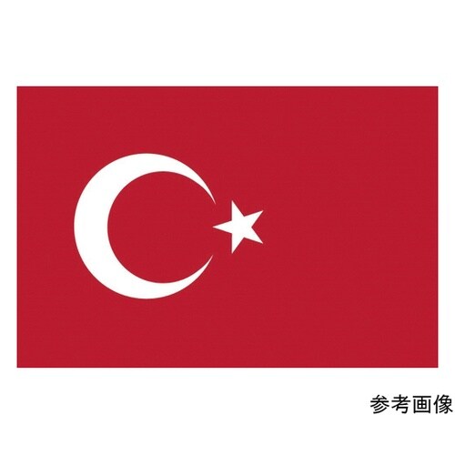 426485 国旗No.2 トルコ