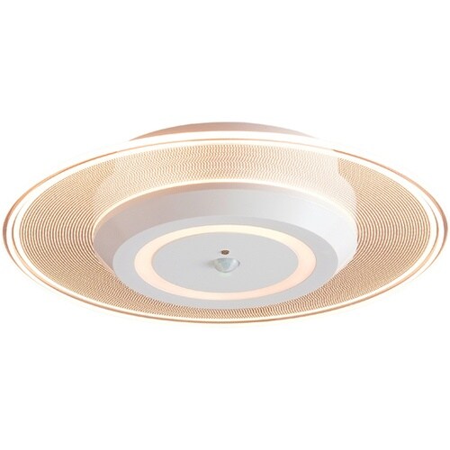 529233 小型シーリング 電球色 白