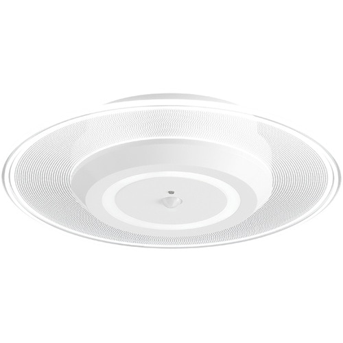 529234 小型シーリング 昼光色 白