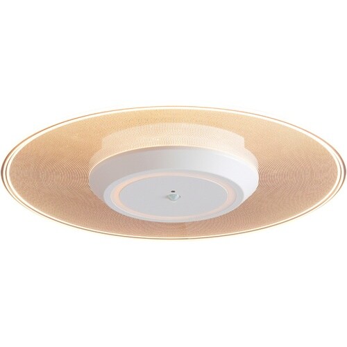 529235 小型シーリング 電球色 白