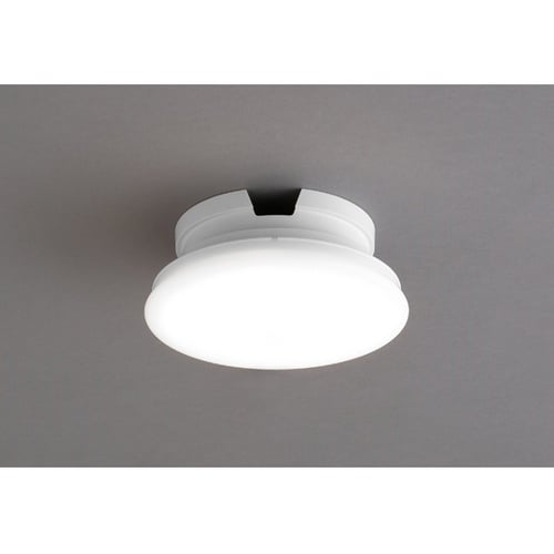 572423 小型シーリング 昼白色