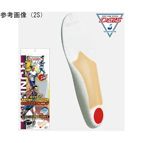 DSISソルボランニング S