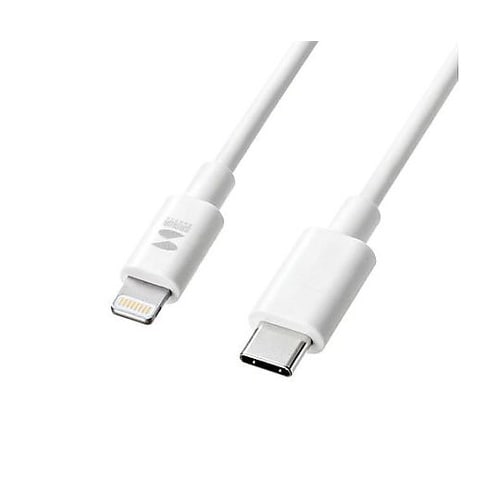 1.0m USBケーブル(USB C−L