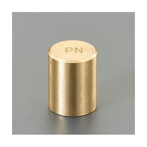 φ13x 20mm/ 70N 強力マグネ